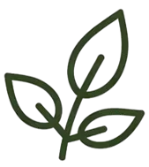 Sustainable sourcing practices icon