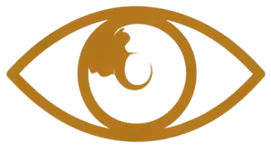 Company vision icon