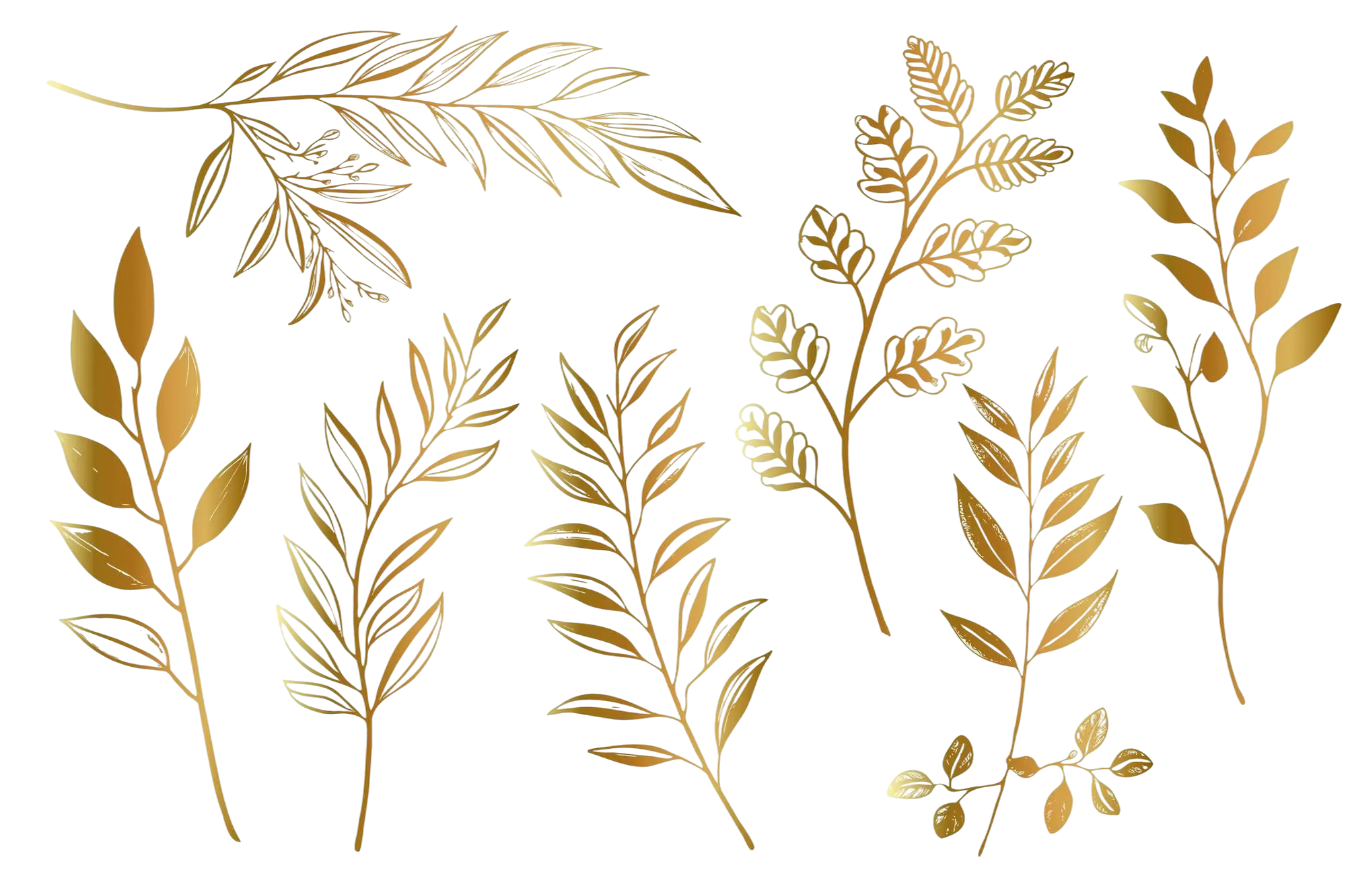 Gold botanical clip art decoration