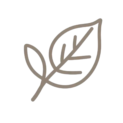 Decorative leaf