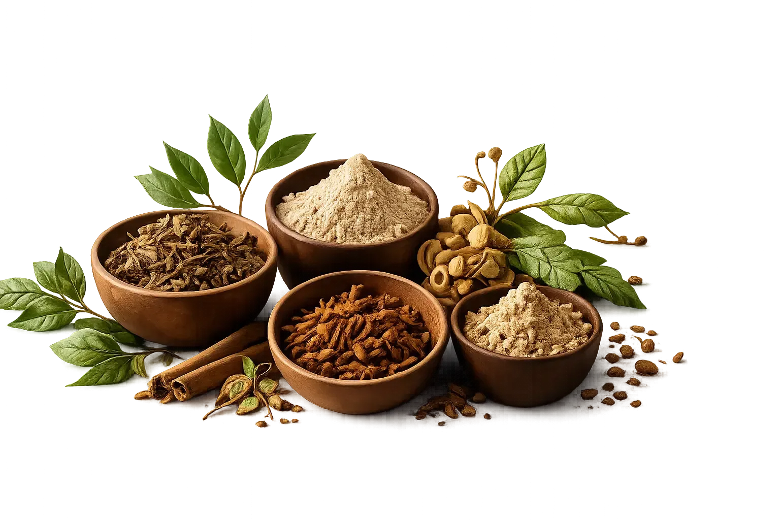 Premium herbal export products selection
